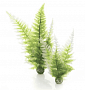 Набор декоративных растений "Зимний папоротник" - Aquatic winter fern set 2