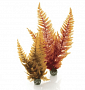 Набор декоративных растений "Осенний папоротник" - Aquatic autumn fern set 2