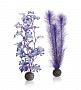 Набор "Средняя фиолетовая ламинария", Kelp set medium purple