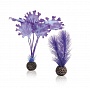 Набор "Малая фиолетовая ламинария", Kelp set small purple