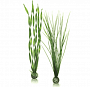 Набор "Высокие, зеленые растения" Easy plant set tall green